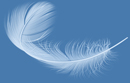 Sacred Soul Therapy feather only