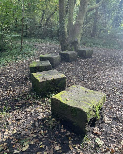 mossy stone seating in a forest setting with trees and foliage surrounding two rustic blocks